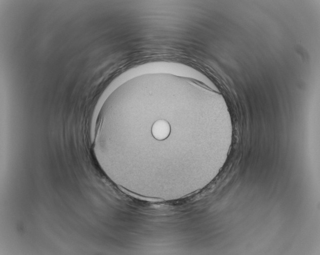 X0000111000376200907311036