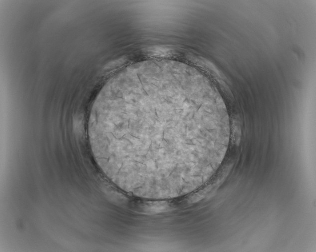 X0000111000377200907311036