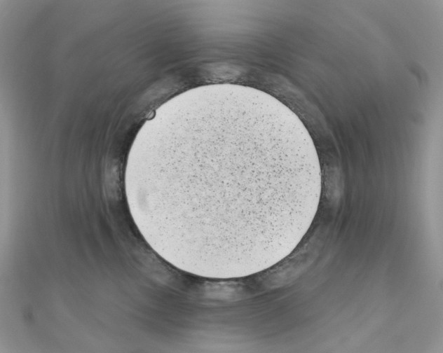 X0000111000378200907311036