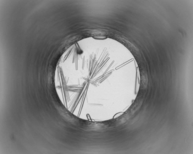 X0000111000379200907311036