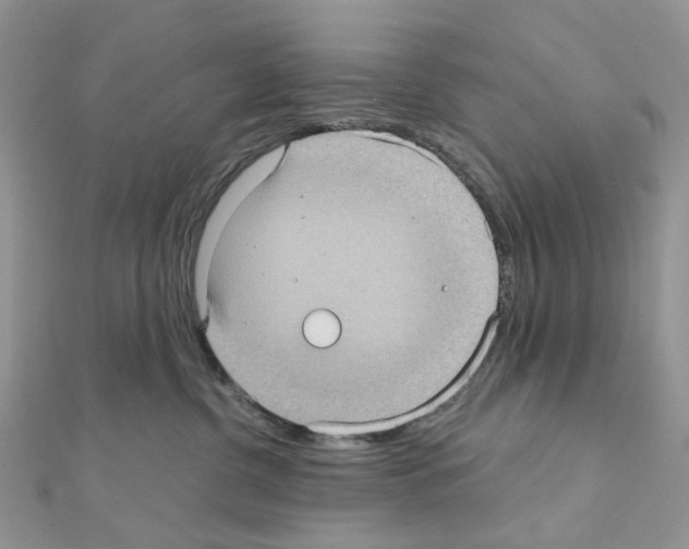 X0000111000380200907311036