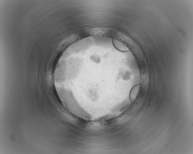 X0000111000381200907311036