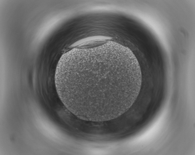 X0000111000382200907311036