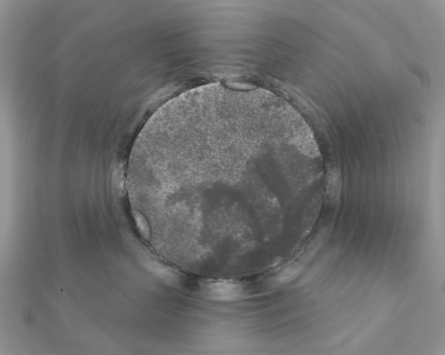 X0000111000383200907311036