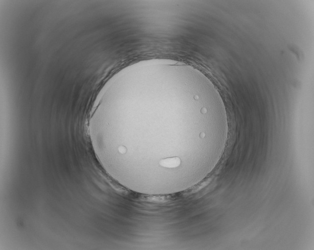 X0000111000384200907311036