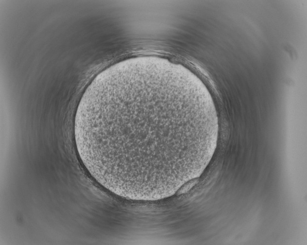 X0000111000385200907311035