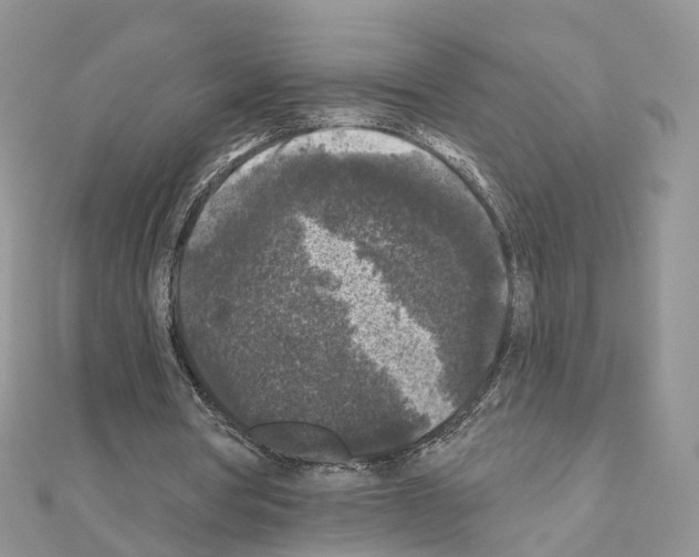 X0000111000386200907311035