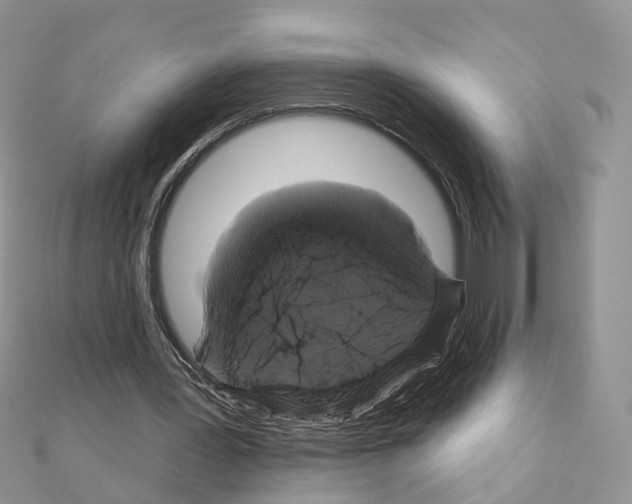 X0000111000387200907311035