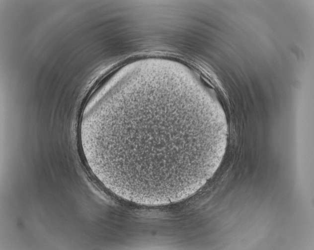 X0000111000389200907311035