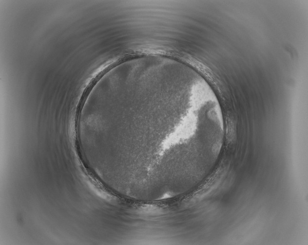 X0000111000390200907311035