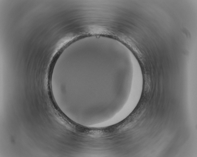 X0000111000391200907311035