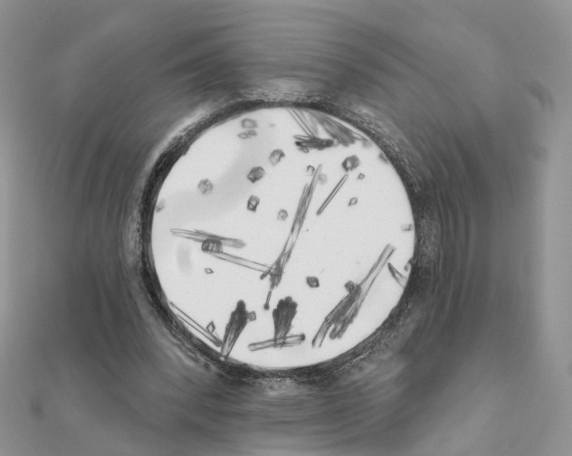 X0000111000392200907311035