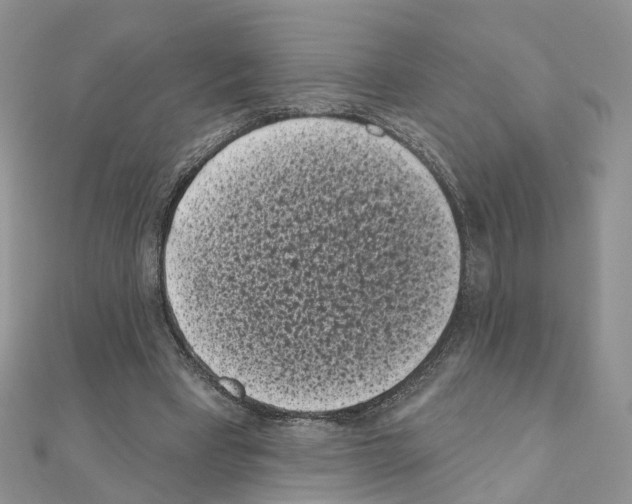 X0000111000393200907311035