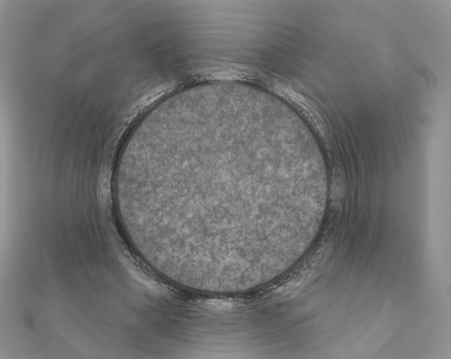 X0000111000394200907311035