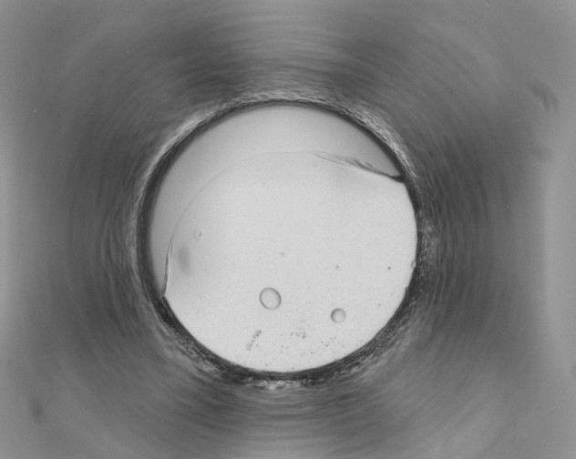 X0000111000395200907311035