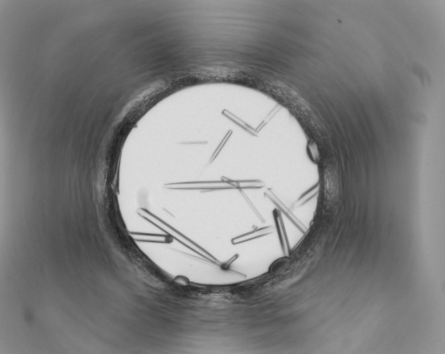 X0000111000396200907311035