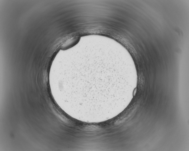 X0000111000397200907311035