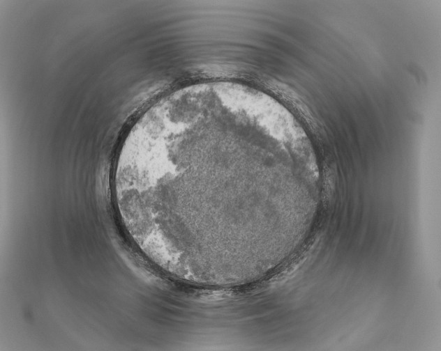 X0000111000398200907311035