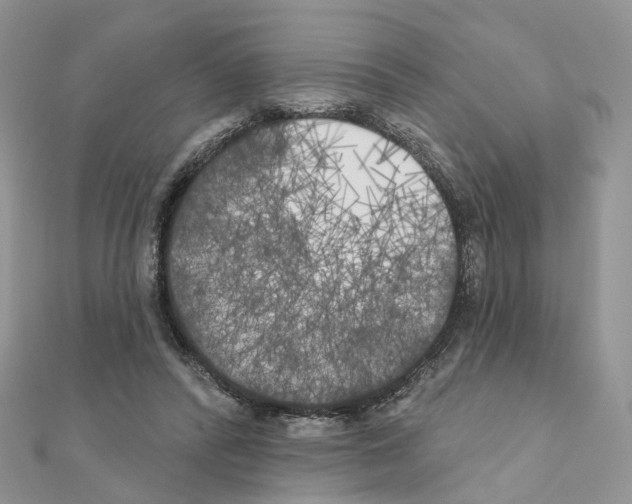 X0000111000400200907311035