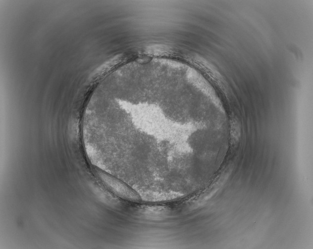 X0000111000401200907311035