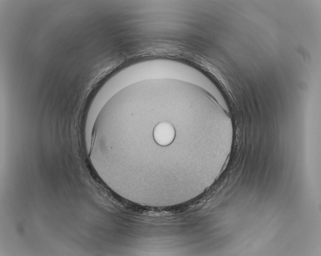 X0000111000403200907311035