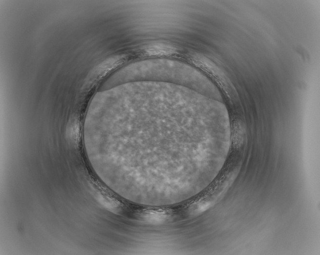 X0000111000405200907311035