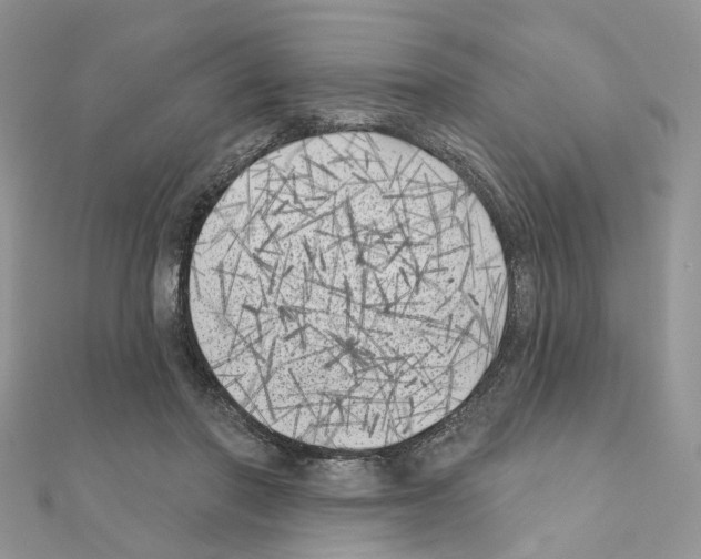 X0000111000406200907311035