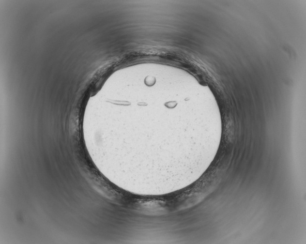 X0000111000407200907311035