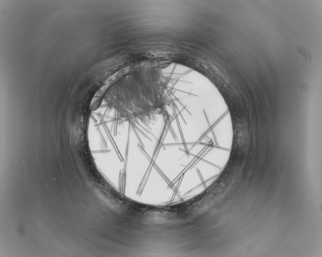 X0000111000408200907311035