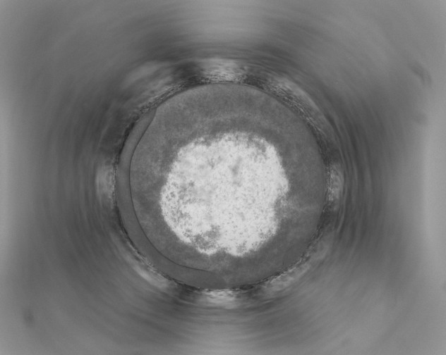 X0000111000409200907311035