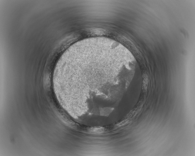 X0000111000410200907311035