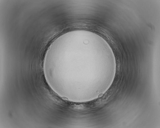 X0000111000411200907311035