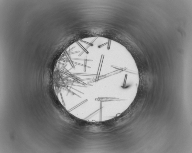 X0000111000412200907311035