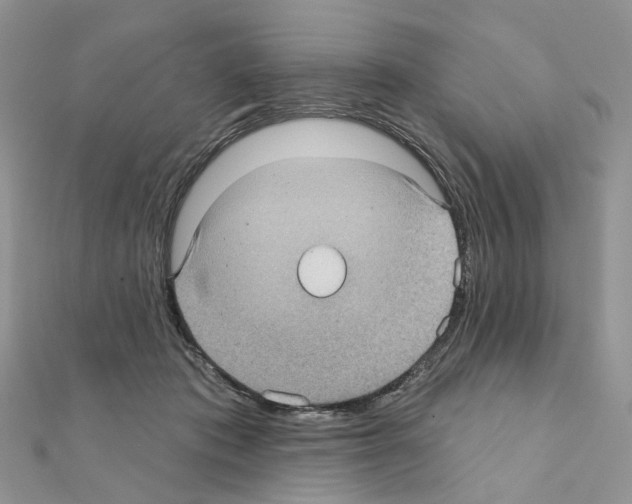 X0000111000413200907311035