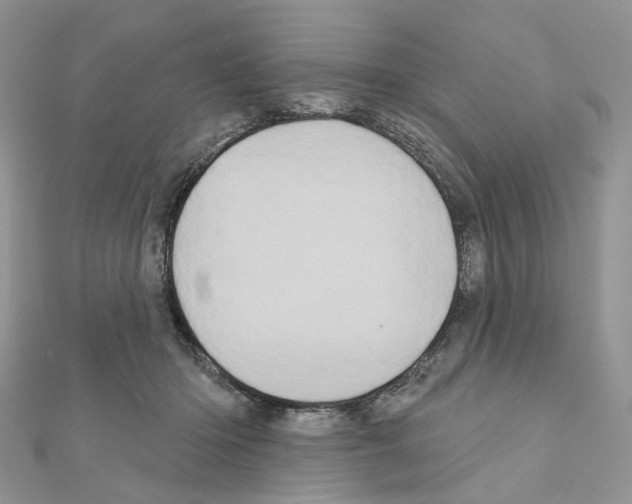 X0000111000414200907311035