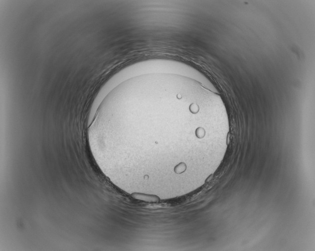 X0000111000415200907311035