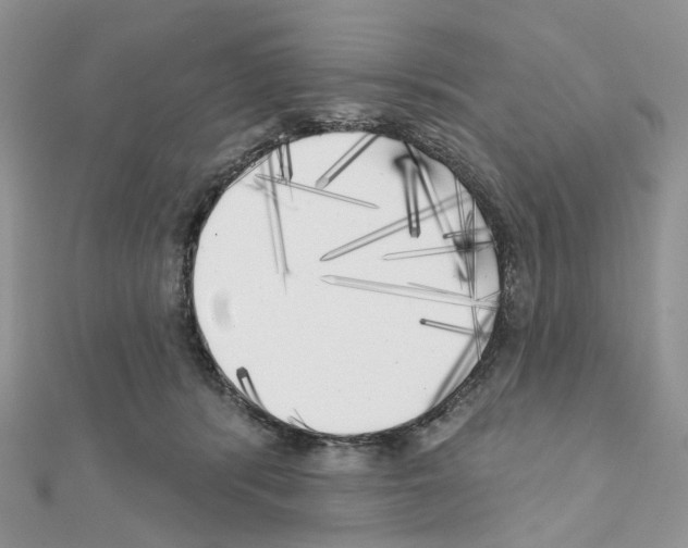 X0000111000416200907311035