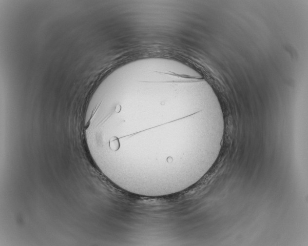 X0000111000417200907311035