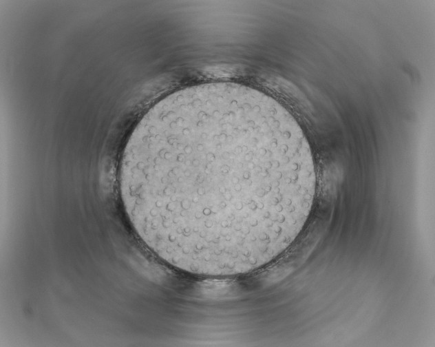 X0000111000418200907311035