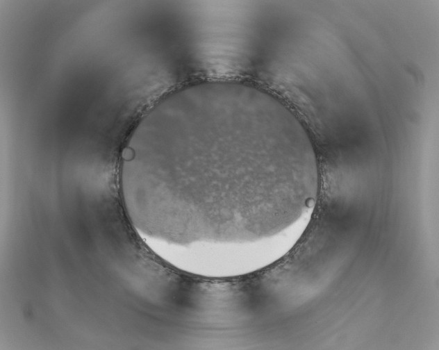 X0000111000419200907311035