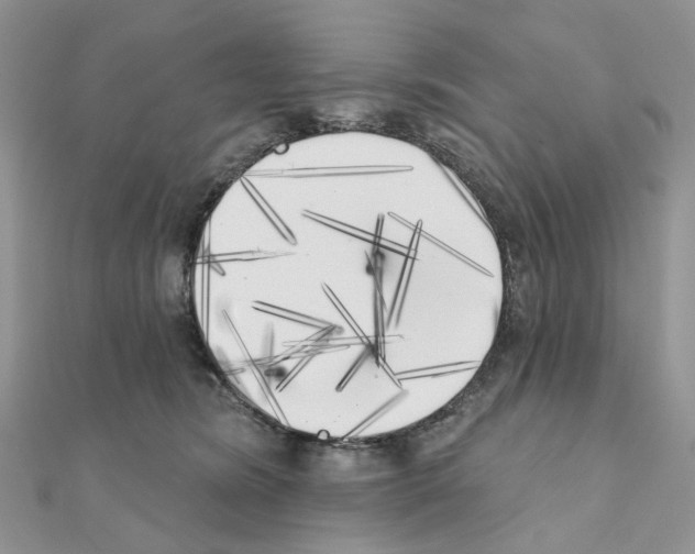 X0000111000420200907311035