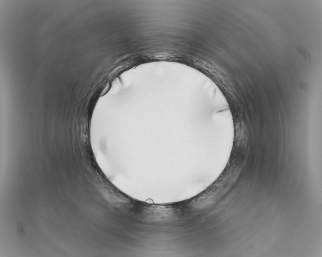 X0000111000421200907311035