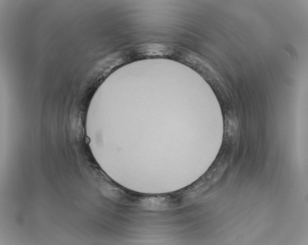 X0000111000422200907311035