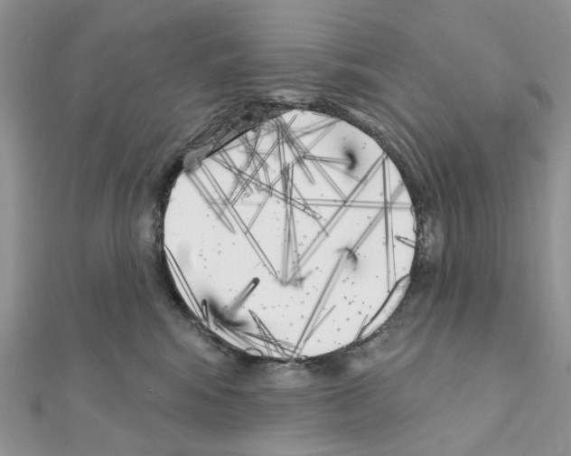 X0000111000424200907311035