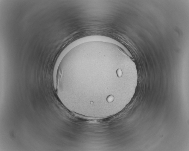 X0000111000425200907311035