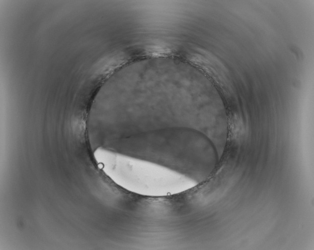 X0000111000427200907311035