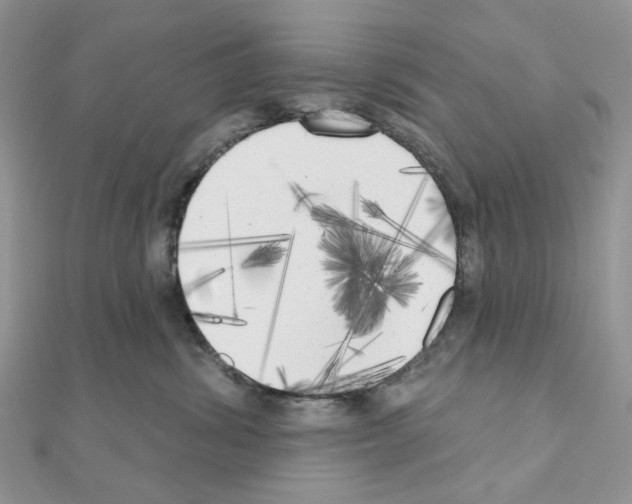 X0000111000428200907311035