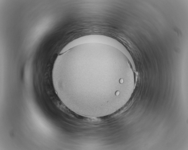 X0000111000429200907311035