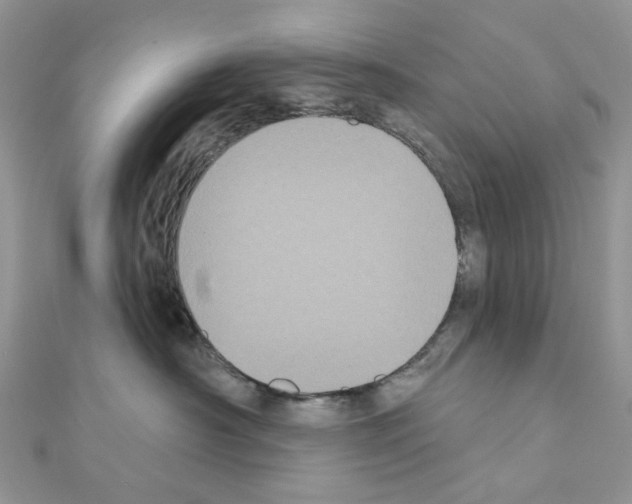 X0000111000430200907311035