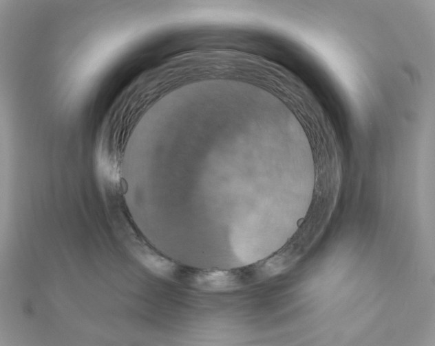 X0000111000431200907311035